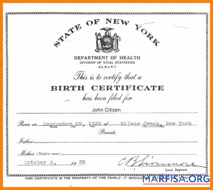 Realistic USA New York Department of Health certificate of birth example